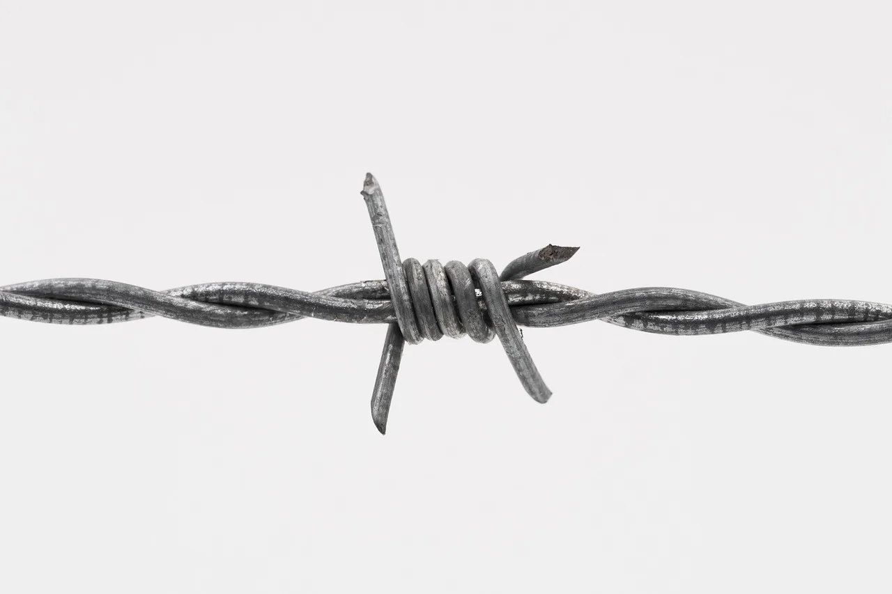 barbed wire, fence, wire, delimitation, security, barrier, validation, protection, protect, danger, dangerous, barbed wire, barbed wire, barbed wire, barbed wire, barbed wire. How to spot a pricing validation mistake before it crosses the line