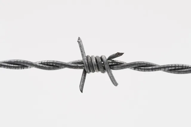 barbed wire, fence, wire, delimitation, security, barrier, validation, protection, protect, danger, dangerous, barbed wire, barbed wire, barbed wire, barbed wire, barbed wire. How to spot a pricing validation mistake before it crosses the line