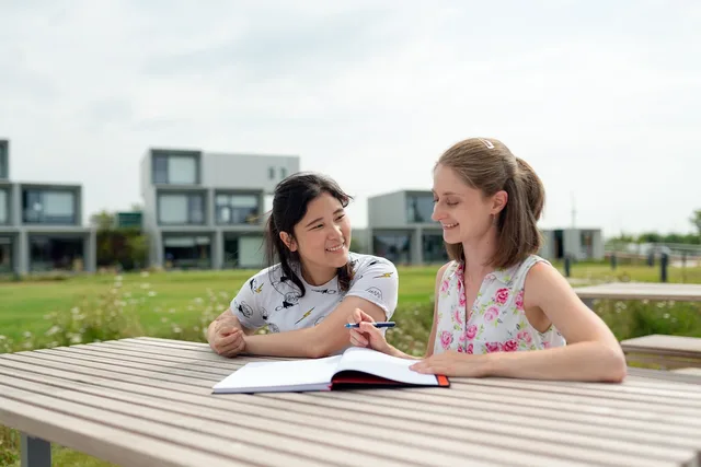 engineer, engineering, teacher, noise and vibration engineer, teamwork, teacher, teacher, teacher, teacher, teacher. How the SBA and SBDC network help you test an idea before you build